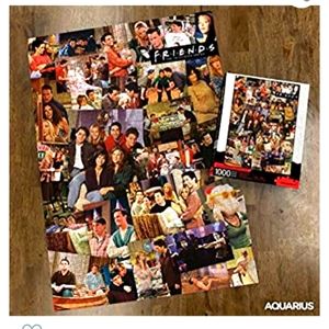AQUARIUS Friends Collage Puzzle (1000 Piece Jigsaw Puzzle)
